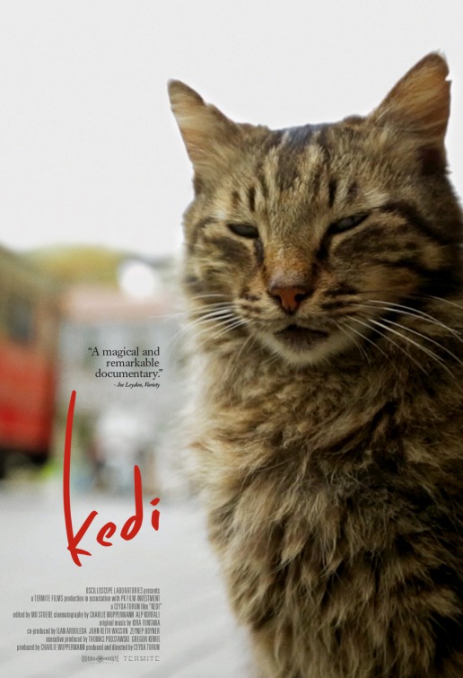 Poster Do Documentário “Gatos”