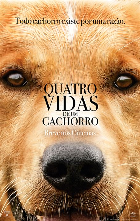 Poster De Quatro Vidas De Um Cachorro