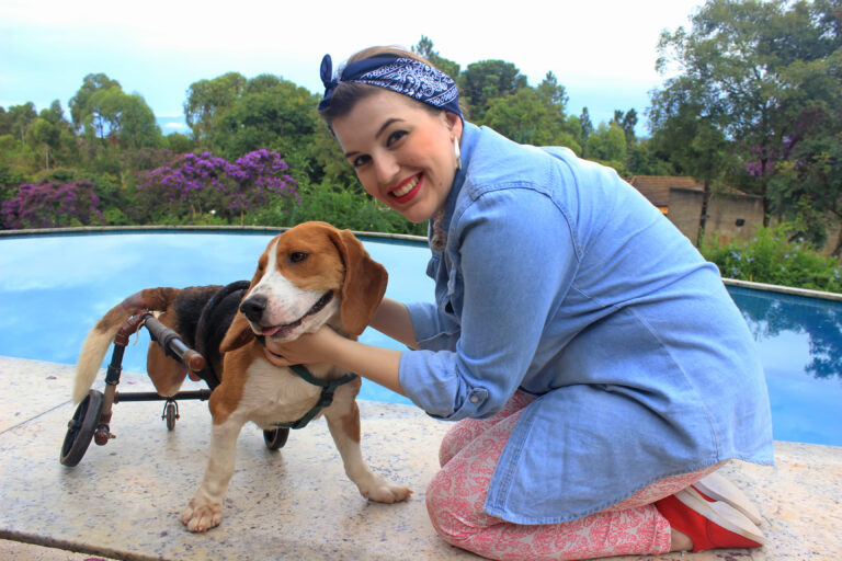 Com O Querido Gil, Cachorro Beagle Que Ficou Paraplégico Em Virtude De Um Acidente